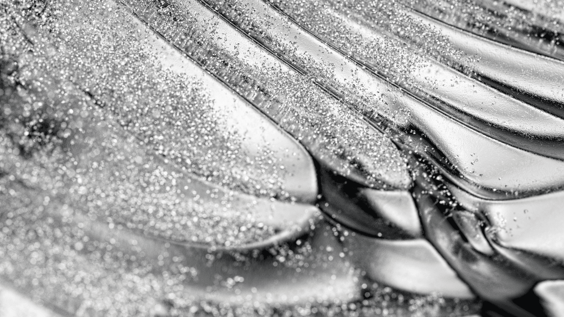 A 100 Year Responsibility AE Edit NL 16x9 00716 1