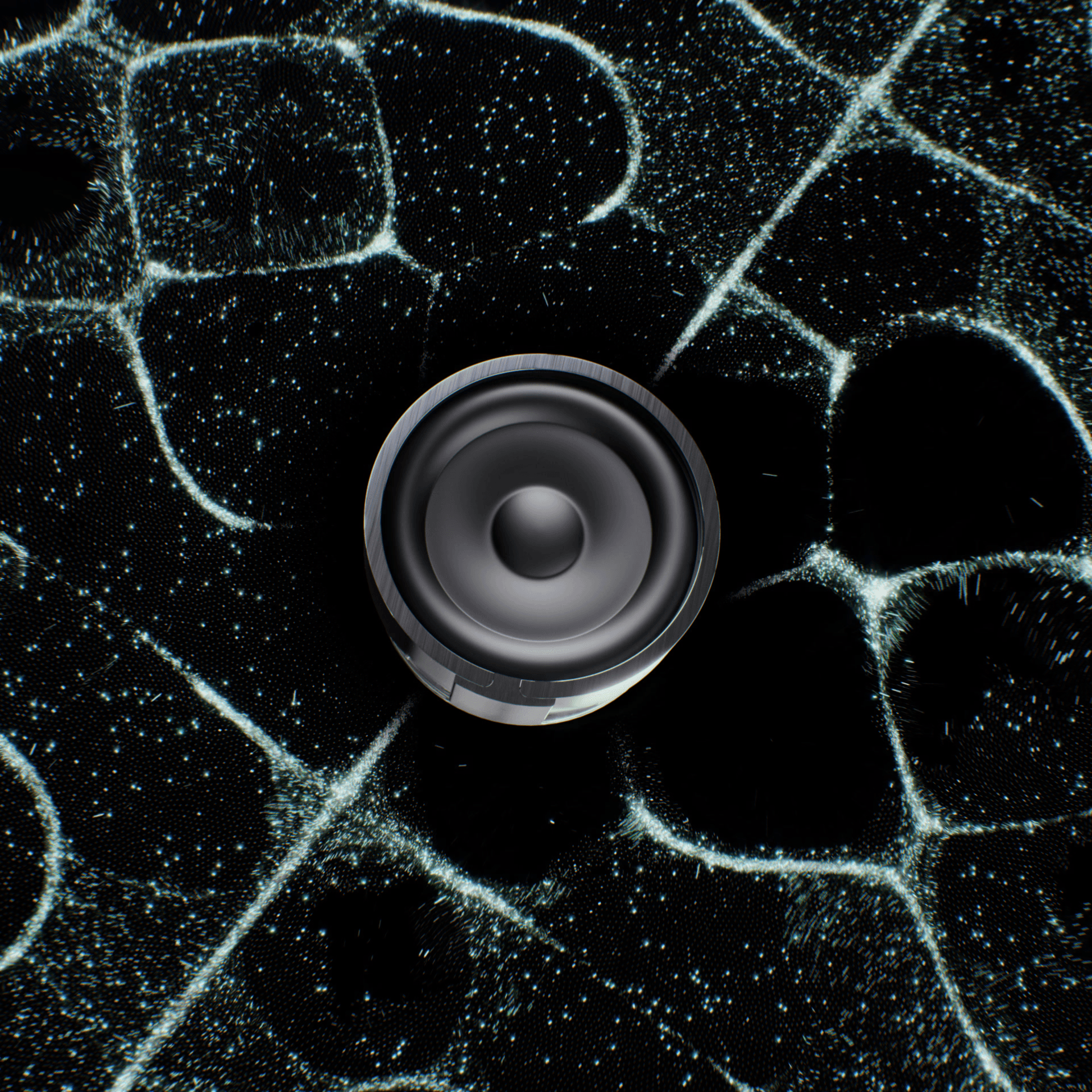 BC1235 s070 Speaker Cone 2 1920x1920