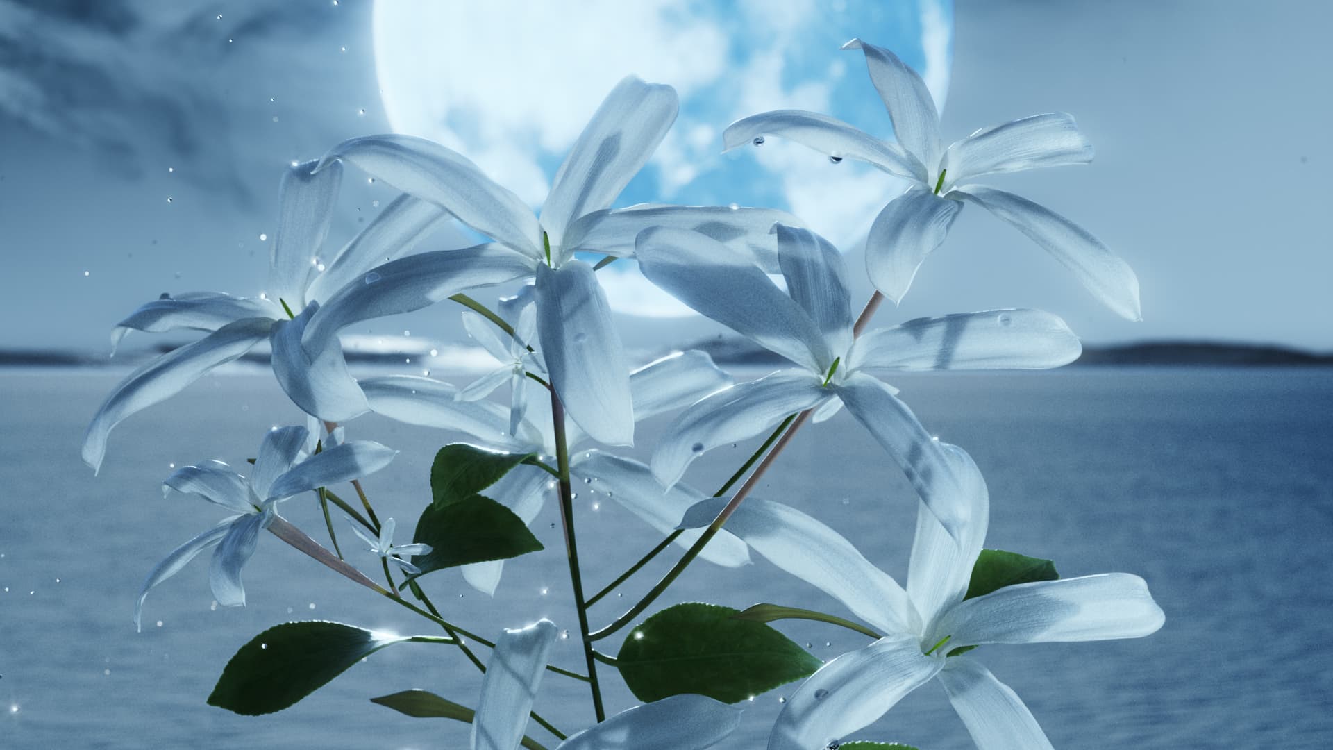 BVLGARI Amunae Ingredient KV 16 9