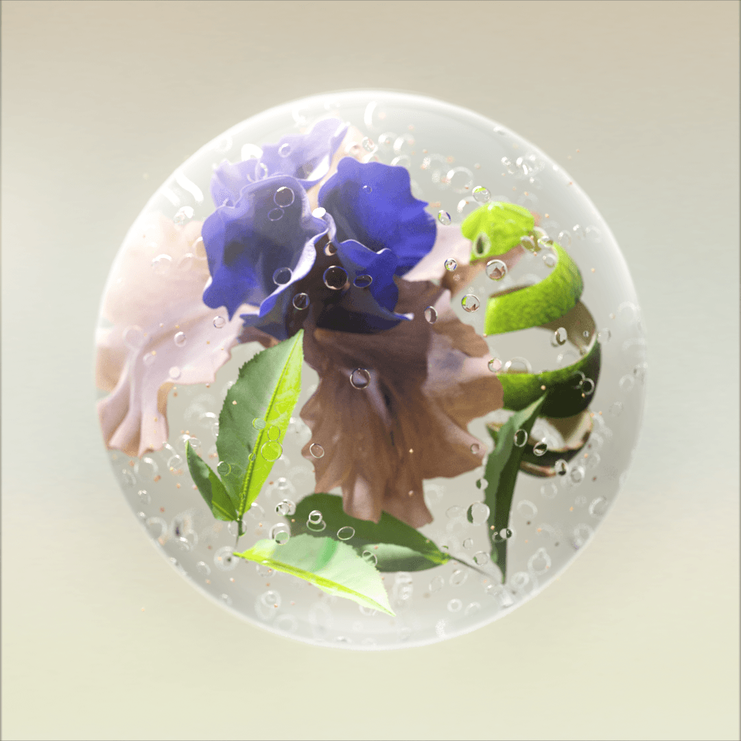 EsteeLauder Orb Still 1