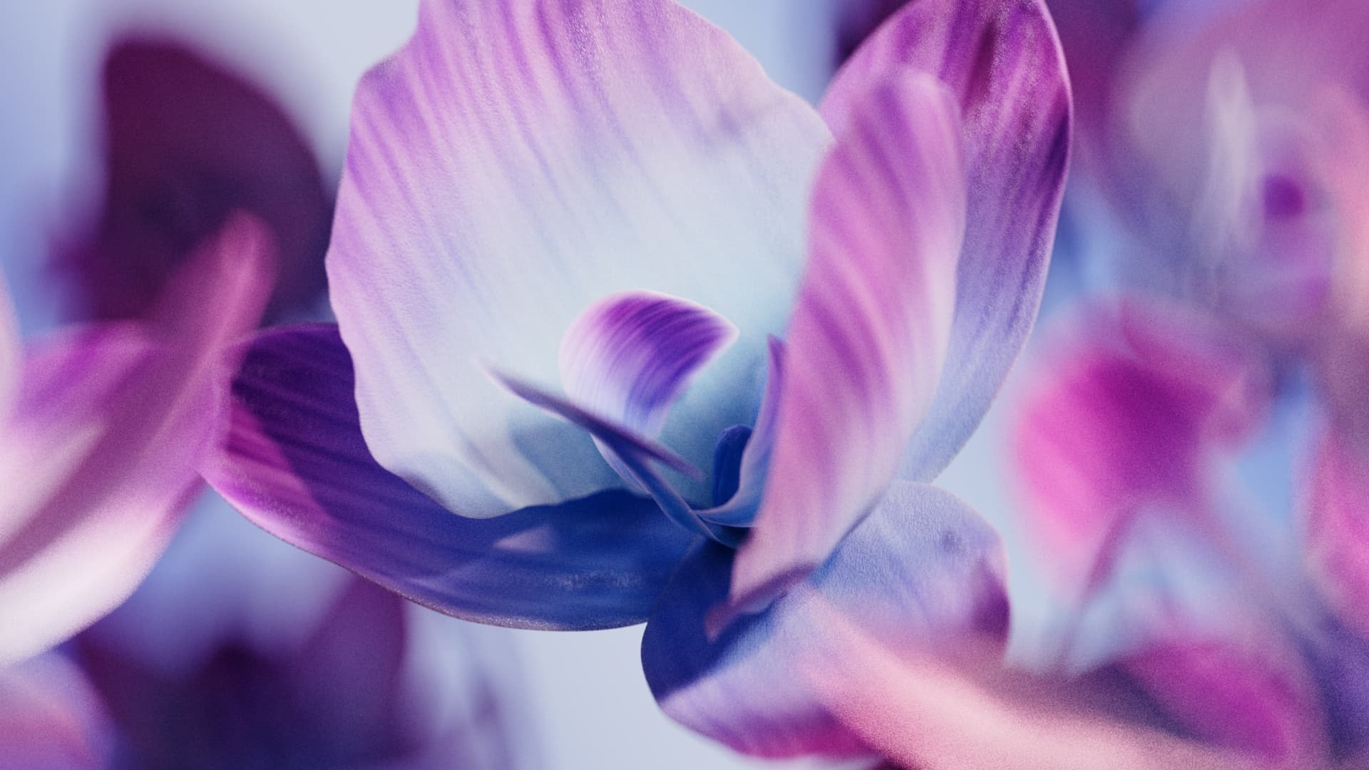 RK v041