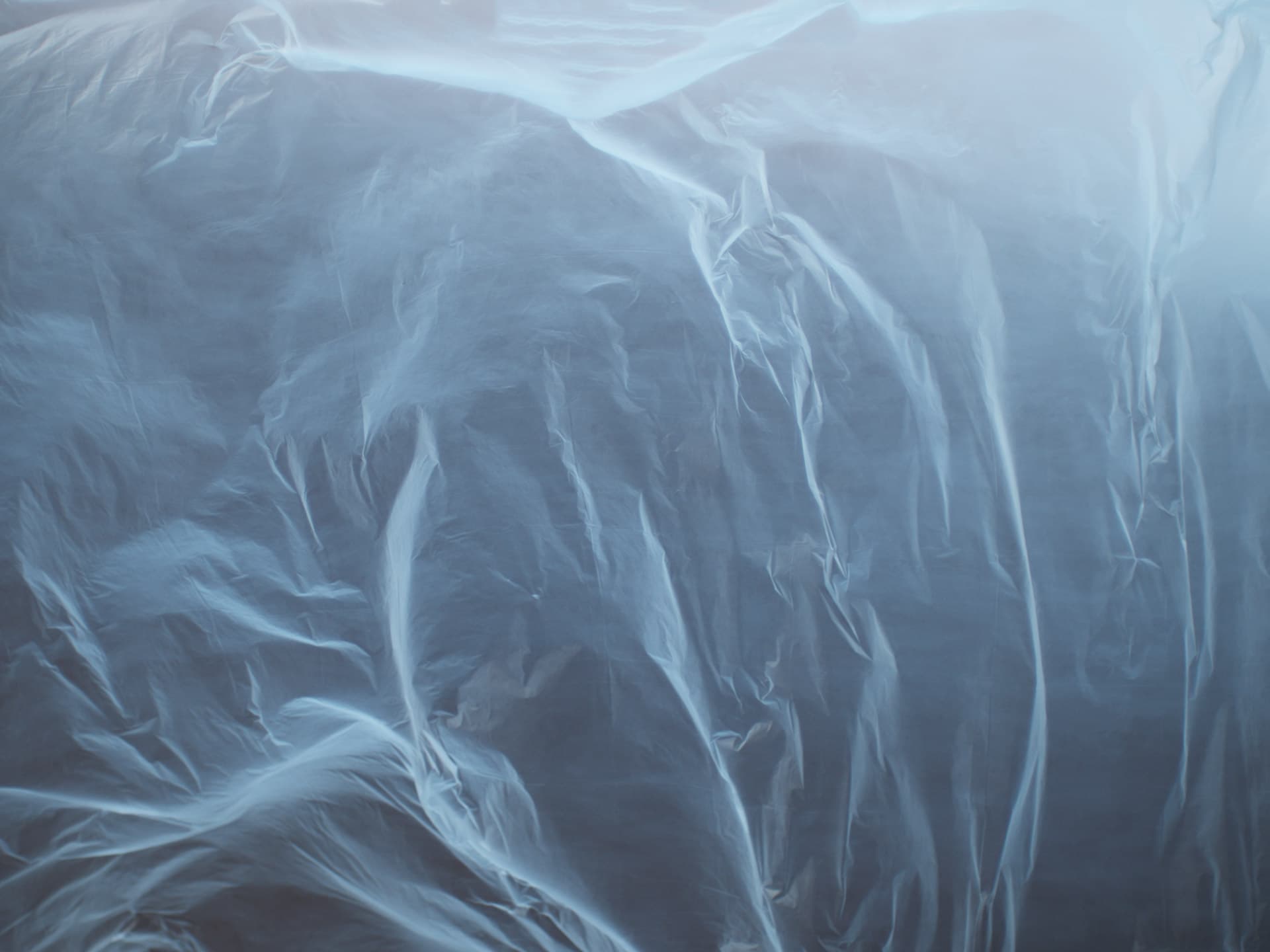 TID WEB 02
