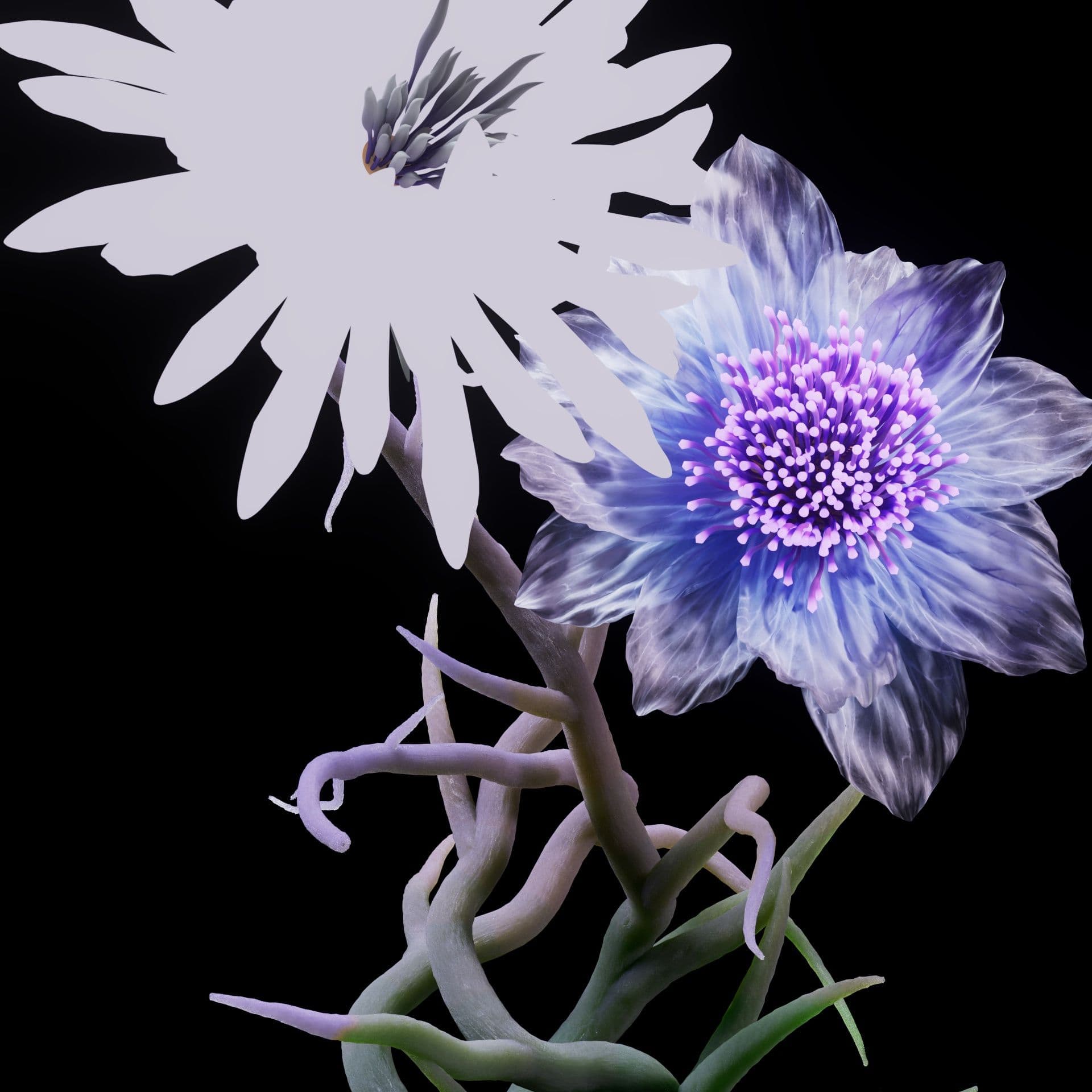 5 still.BC1384 HND FLOWER GB V4 V17.0362