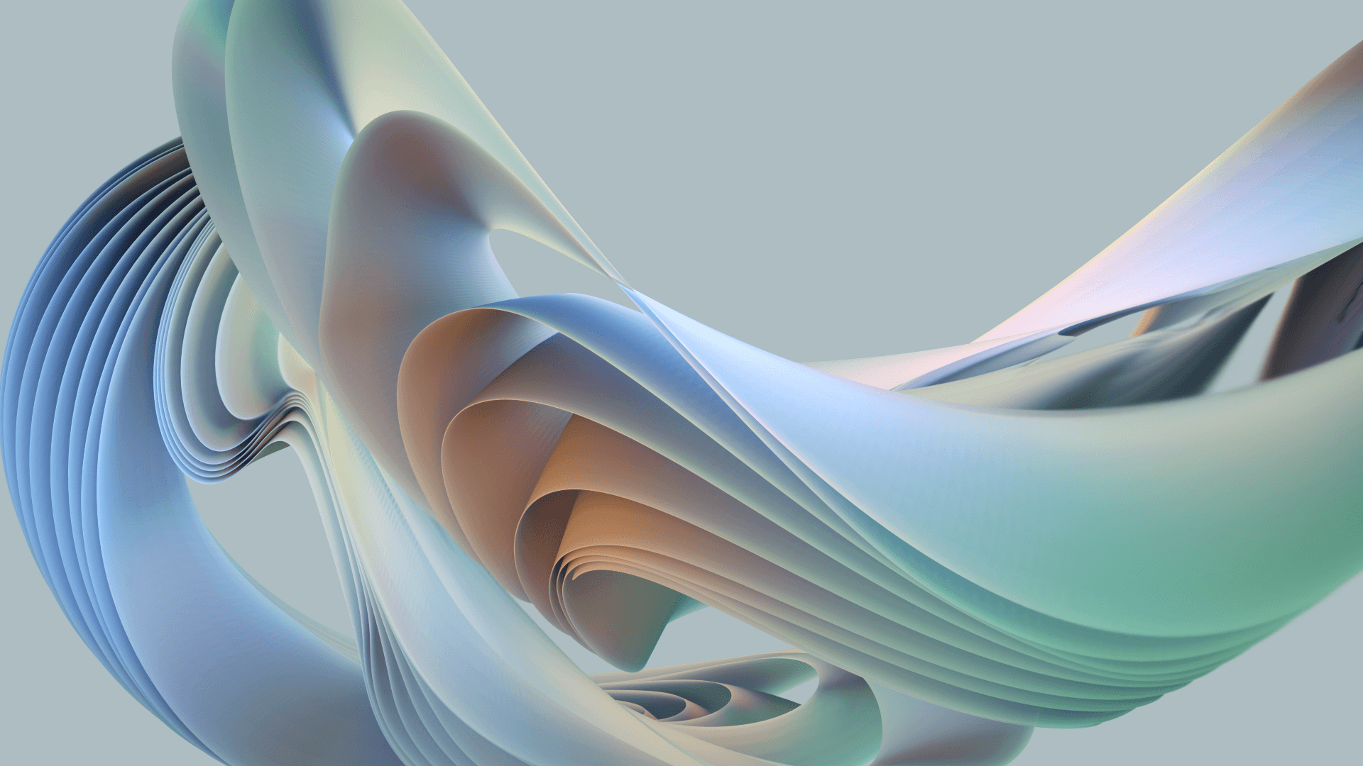 shapeshift IT spline v3a 0135