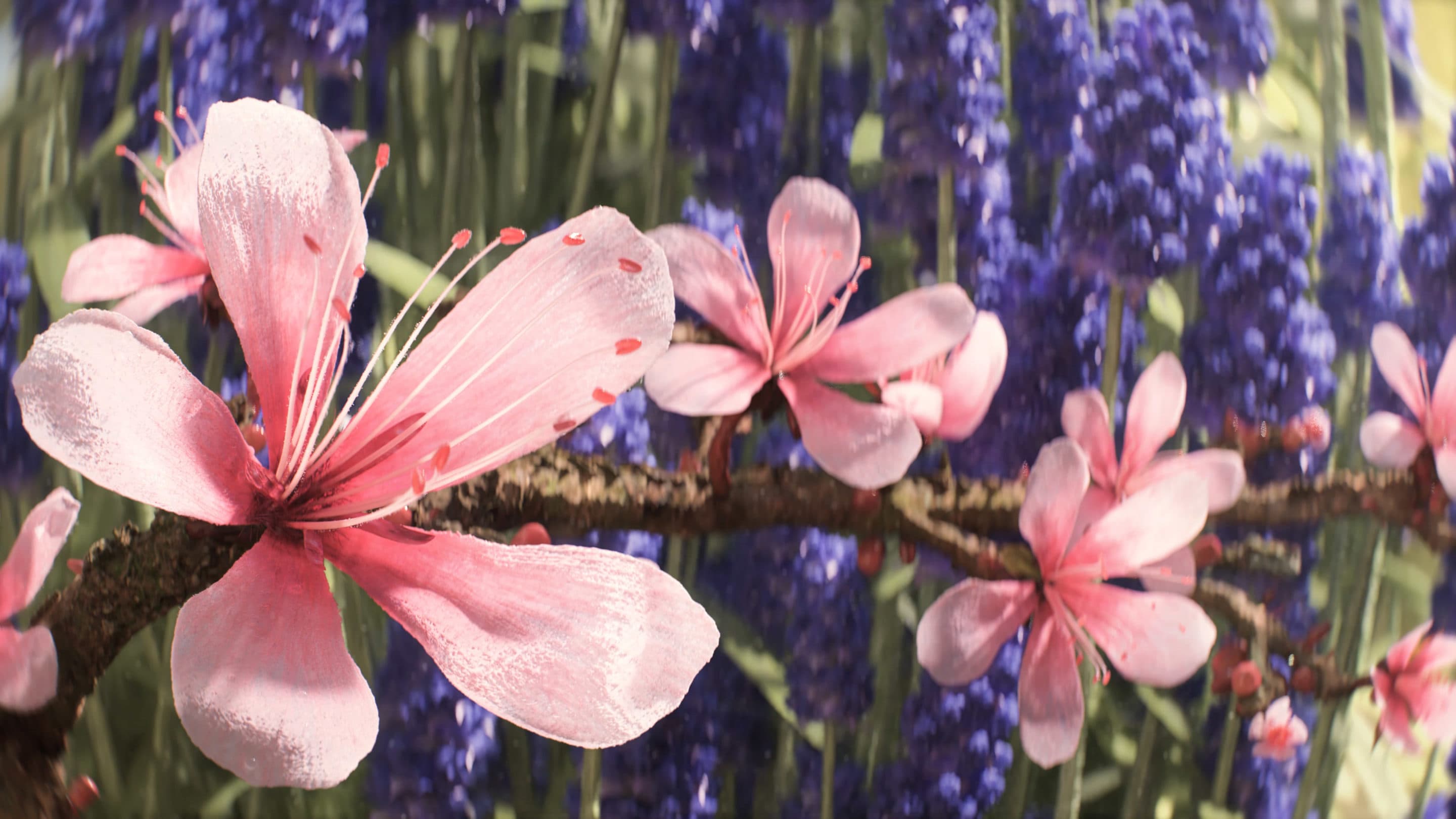 S 4 2880x1620